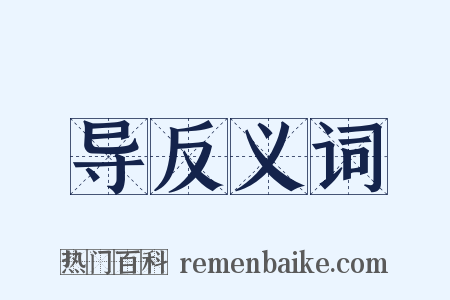 导反义词是什么意思的图片